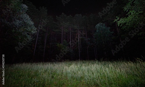 Night Background Very Cool
