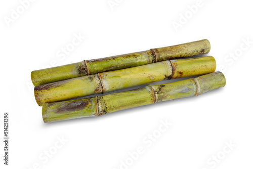 Fresh green sugar cane cut into slices before it is squeezed into sugar isolated on white background.This has clipping path.