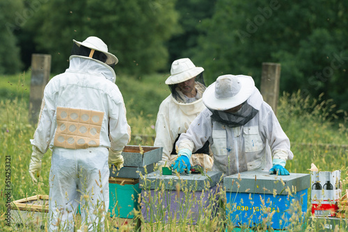 Foto general shot of a master beekeeper directing the work of two students with the hives