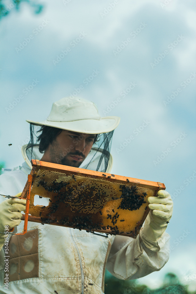 close-up of a beekeeper examining a painting. vertical
