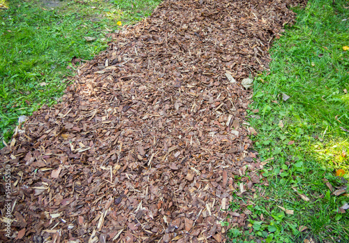 Garden path made of strewn tree bark