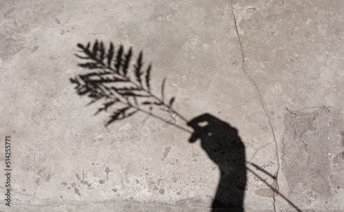 Hand shadow on a concrete background. Two branches in hand. beautiful shadow