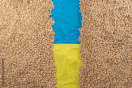 A fresh harvest of wheat in Ukraine. Ukrainian flag on freshly harvested grain