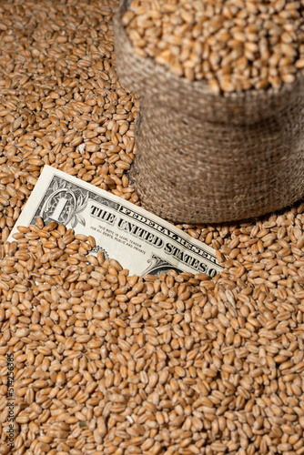 The dollar on the background of Ukrainian wheat. The concept of the global crisis