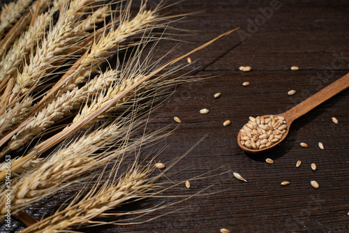 Background ears of wheat lie on golden grains of wheat scattered on a wooden table