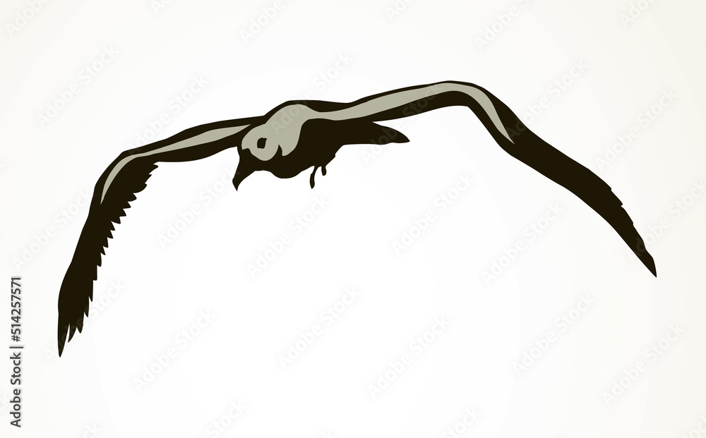 Fototapeta premium Seagull in flight. Vector drawing