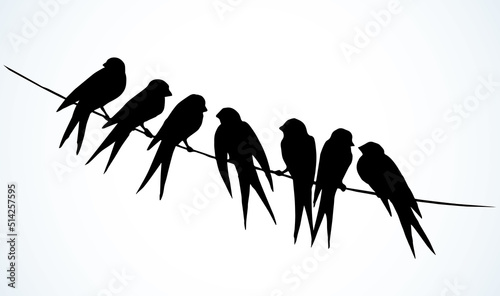 Swallows are sitting on a wire. Vector drawing