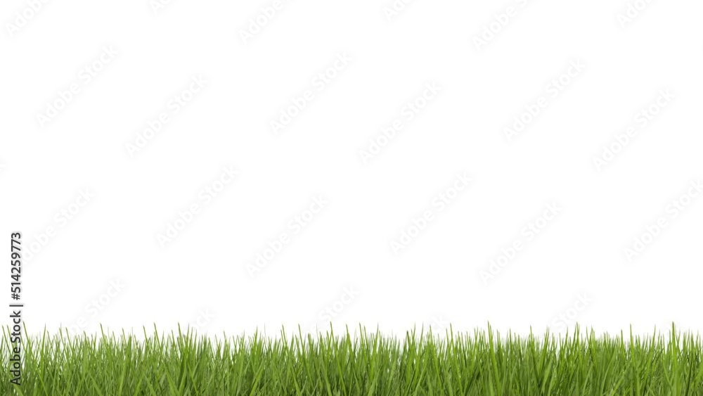 Rolling Soccer Ball on Green Grass. 3D Rendered video Rolling Soccer Ball on Green Grass. 3D Rendered video