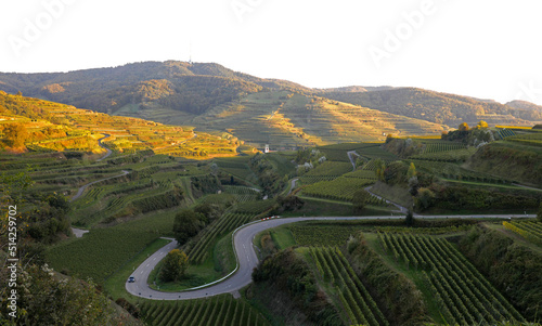 Oberbergen am Kaiserstuhl