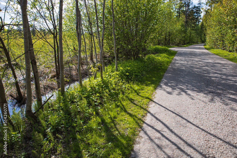 Obraz premium Summer sunny road and tree shadows