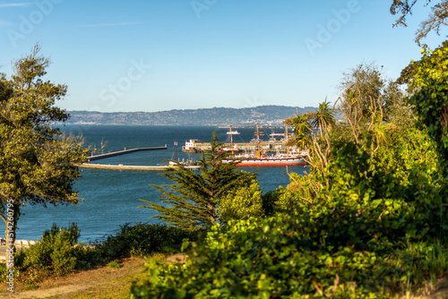 View of the bay, island and port of San Francisco.
