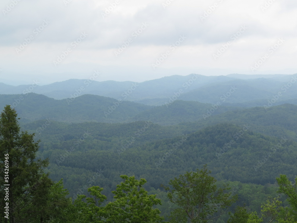 foggy forested mountains under cloudy sky