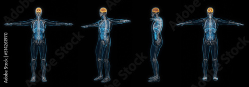 3d rendering set of human male body brain x-ray isolated on black background.