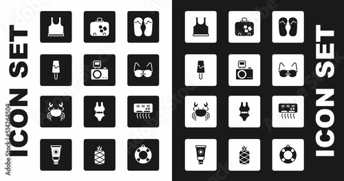 Set Flip flops, Photo camera with flash, Ice cream, Sleeveless T-shirt, Glasses, Suitcase, Air conditioner and Crab icon. Vector
