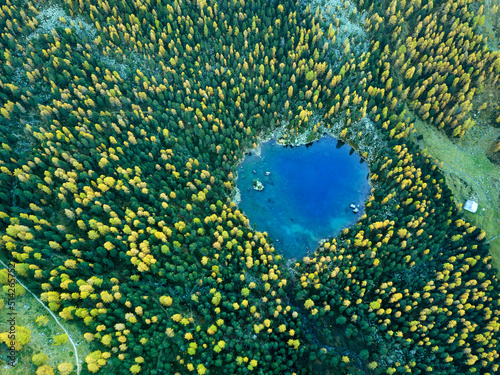 Aerial view over the heart-shaped Saoseo Lake in fall season with pine and larch trees in the morning, Switzerland