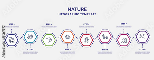 infographic template with icons and 8 options or steps. infographic for nature concept. included philodendron, fertilize clinic, landscape inside frame, pecan leaf, grains, fences, element icons.