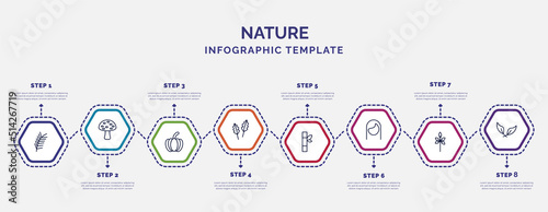 infographic template with icons and 8 options or steps. infographic for nature concept. included pine leaf, farming, pedunculate, bamboo sticks, hair style, sprig with five leaves, falcate icons.