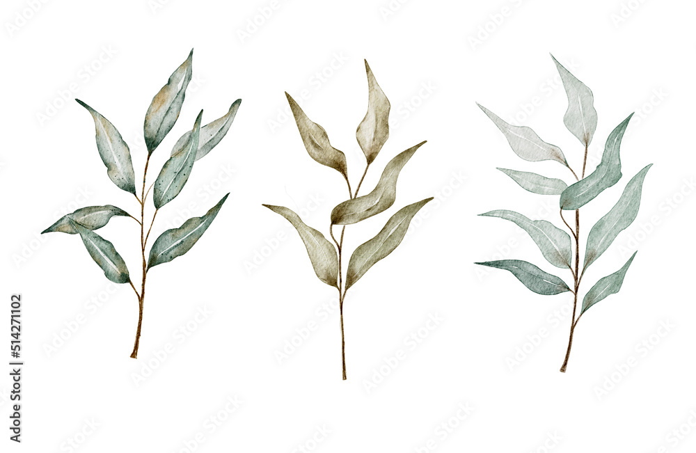 Obraz premium Watercolor green leaves.Set watercolor herbal elements.Isolated on a white background.
