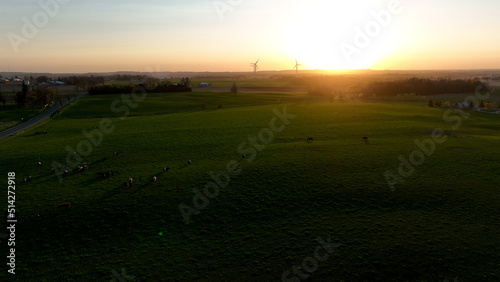 A rural landscape is pictured at sunset, a cow pasture is seen below, as wind turbines are seen in the sunny background.
