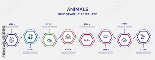 infographic template with icons and 8 options or steps. infographic for animals concept. included dolphin jumping, gold fish, snigir, hummerhead, mole, flounder, sparrow icons. photo