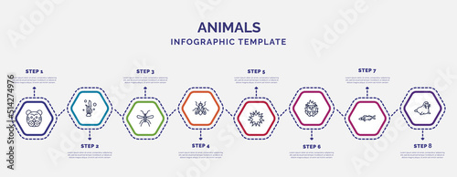 infographic template with icons and 8 options or steps. infographic for animals concept. included tiger, mosquito, fly, sea urchin, hedgehog, pike, walrus icons.