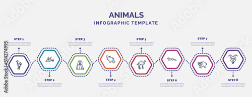 infographic template with icons and 8 options or steps. infographic for animals concept. included ostrich, baboon, platypus, camel, mink, bear, goat icons.