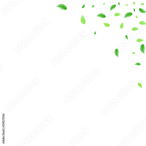 Green Leaf Background White Vector. Vegetation Garden Design. Blend Illustration. Greenish Aroma Texture. Greenery Isolated.