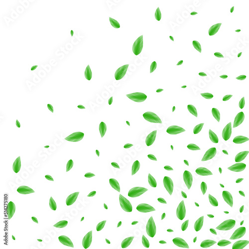 Light Green Plant Background White Vector. Leaves Motion Design. Spring Texture. Greenish Elegant Frame. Vegetation Light.