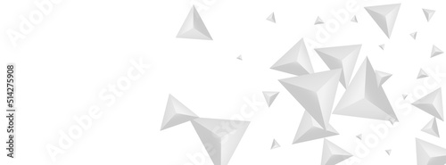 Fototapeta Naklejka Na Ścianę i Meble -  Hoar Triangle Background White Vector. Element Geometry Backdrop. Grizzly Isolated Texture. Origami Art. Greyscale Polygon Template.