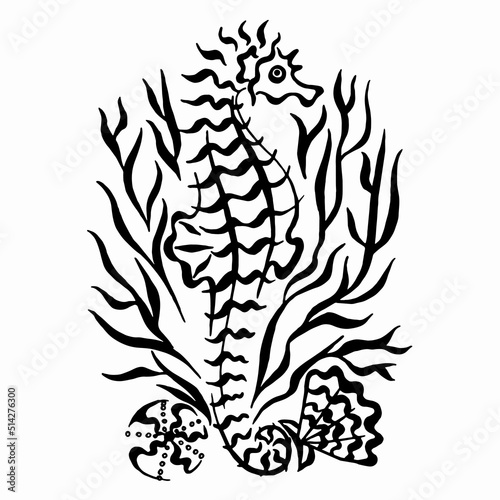 Pattern with coral seashells and seahorse. Underwater wildlife. linear drawing. Black and white drawing of a seahorse in coral.