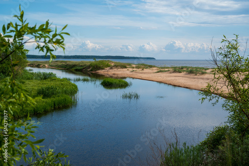 River on a sandy beach with greenery