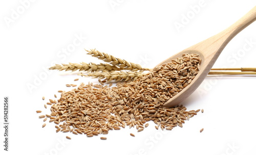 Ripe yellow wheat ears and spelt grains pile with wooden spoon isolated on white 