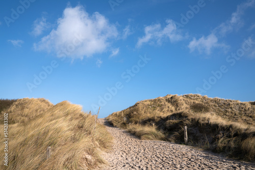 Sand dunes of Sylt  North Frisia  Germany