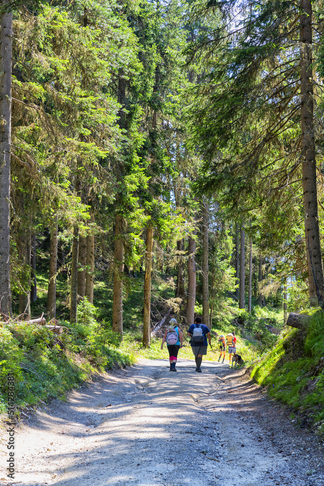 Wonderful mountain trekking route in South Tyrol. Beautiful natural landscapes.