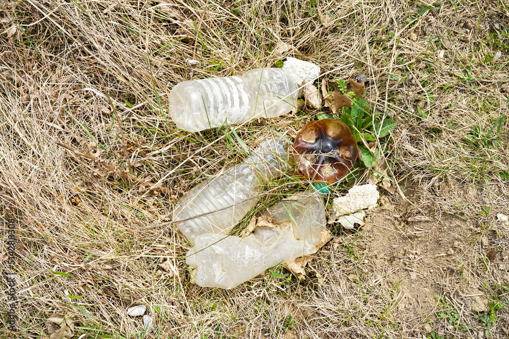 Obraz premium A pile of rubbish in a clearing in the countryside on a spring day. Plastic bottles. Concept of ecology.