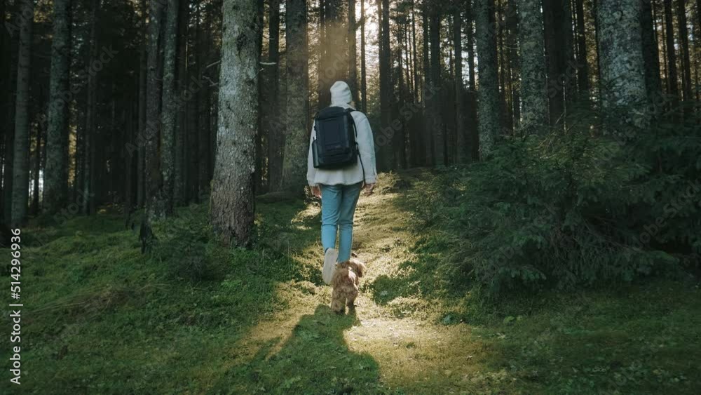 Camera is following young woman walking through misty forest in late autumn. She is wearing a blank backpack and exploring beautiful nature. Having adventure trip with her small dog. Camera is following young woman walking through misty forest in late autumn. She is wearing a blank backpack and exploring beautiful nature. Having adventure trip with her small dog.