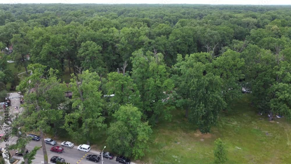 Green Forest Timisoara