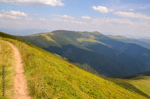 Trail through mountain ridge with steep green grassy slopes under blue sy with clouds on sunny summer day. Beautiful landscape of Carpathian Mountains, Ukraine