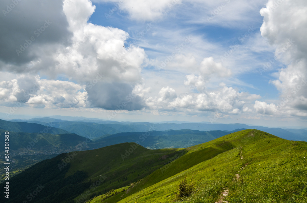 Wooded green valley with grassy slopes and grazing pastures of Ukrainian Carpathian Mountains. Natural background and travel destination Wooded green valley with grassy slopes and grazing pastures of Ukrainian Carpathian Mountains. Natural background and travel destination