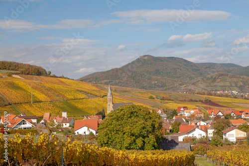 Weinort Birkweiler, Südpfalz