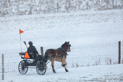 Amish boy riding a pony cart beside a fence in the snow   Holmes County, Ohio © Isaac