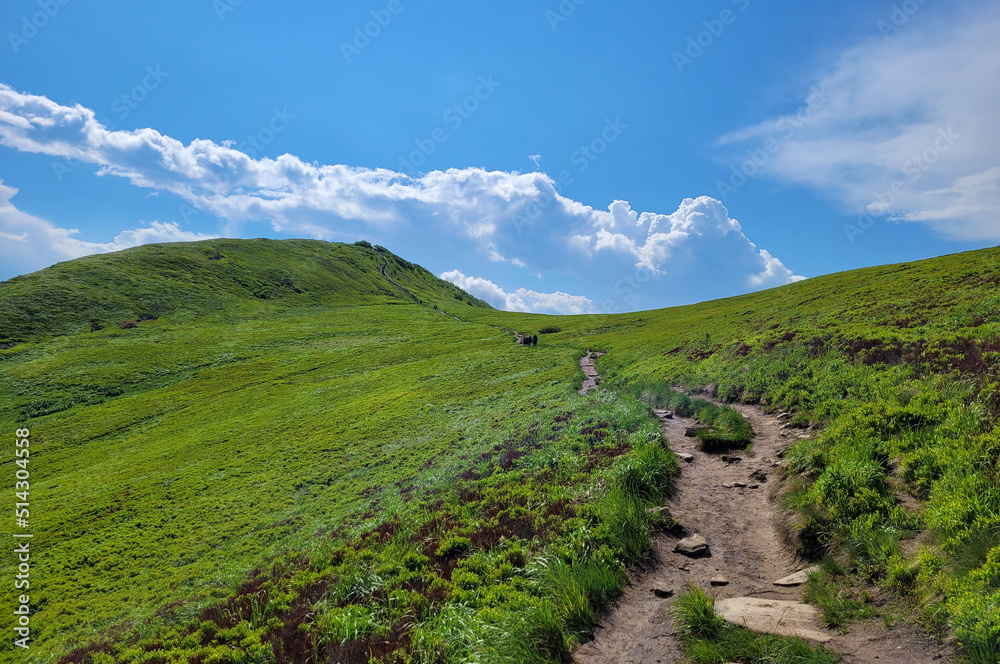 Fototapeta premium Góry Bieszczady w Europie, Polska.