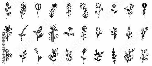 Set of doodle flowers and branches with leaves decorative elements. Floral, botanical vector illustration design, isolated hand drawn elements.