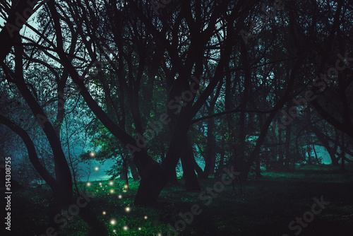 Mysterious road. Fairy Forest. Mystical atmosphere. Paranormal another world. Stranger forest in a fog. Dark scary park. Background wallpaper. Horrible dream.