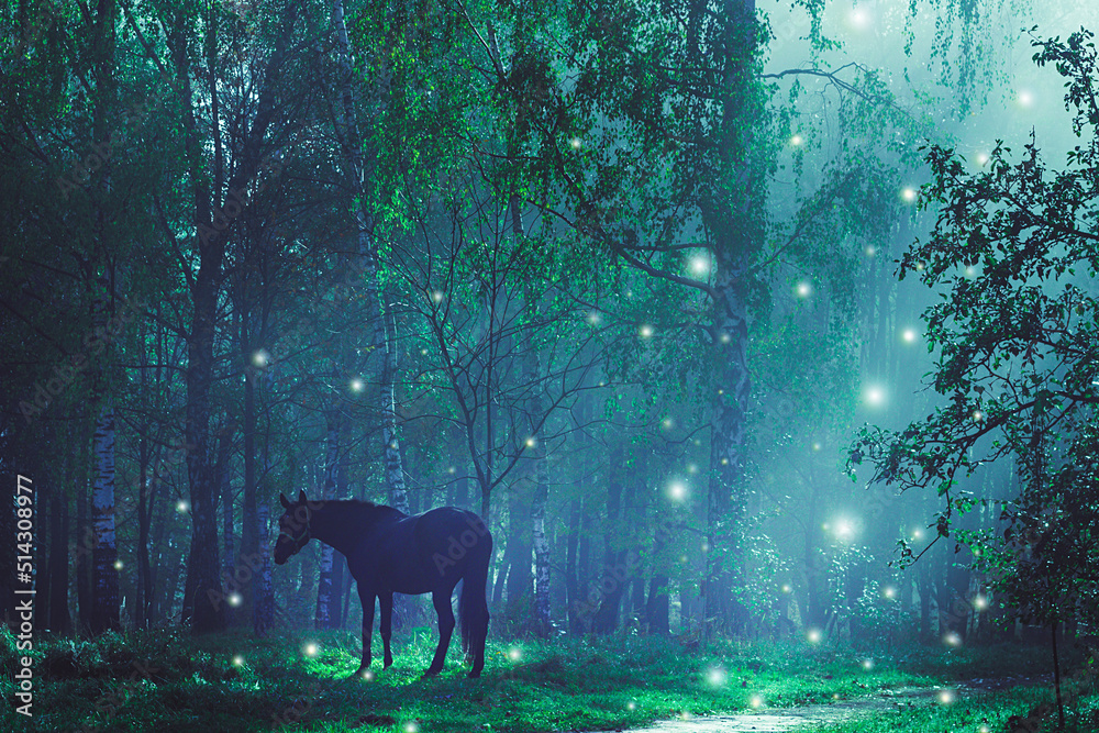Fairy horse. Paranormal world. Strange forest in a fog. Mystical atmosphere. Dark wood. Fairytale forest. Background wallpaper. Scary forest trees in a fog. Cinematic Processing.