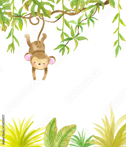 Photography Watercolor illustration - funny monkey swinging on a liana plant