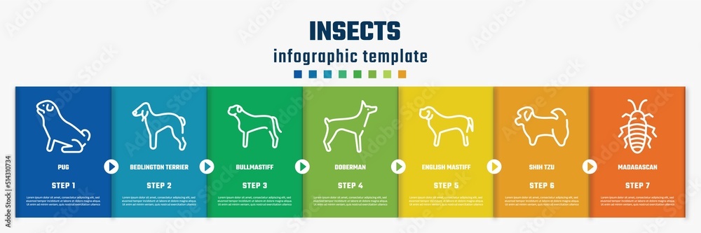 insects concept infographic design template. included pug, bedlington terrier, bullmastiff, doberman, english mastiff, shih tzu, madagascan icons and 7 option or steps.