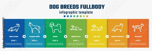 dog breeds fullbody concept infographic design template. included dogs playing, pharaoh hound, bichon, border collie, dog lying, bernese mountain, dalmatian icons and 7 option or steps.