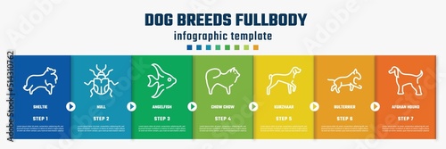 dog breeds fullbody concept infographic design template. included sheltie, null, angelfish, chow chow, kurzhaar, bulterrier, afghan hound icons and 7 option or steps.