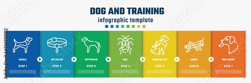 dog and training concept infographic design template. included beagle, pet collar, rottweiler, null, grooming pet, locust, dog licking icons and 7 option or steps.